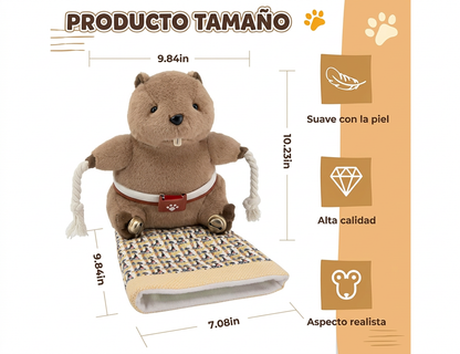 Castor Kick – Guante Antiarañazos